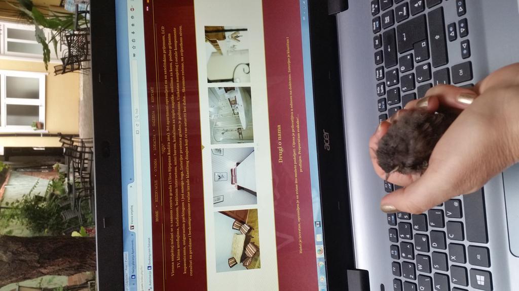אוסילק Apartments & Rooms Vienna מראה חיצוני תמונה